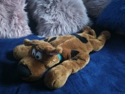 Scooby Doo maskotka interaktywna 