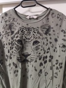 H&M koszulka bluzka tshirt tygrys 152 158