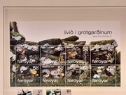 Dania Wyspy Owcze 2007 Mi 615-22 ark ptaki owady czysta idealna