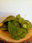 Morwa biała suszony cały liść - 50g