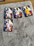 karty FIFA world cup qatar2022 usa