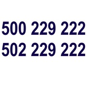 Złota Para 500 229 222_502 229 222