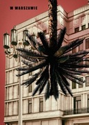 Warszawa palma, kolaż, limitowana seria pleban plakat, plakat polski