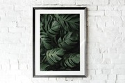 Plakat/Obraz ozdobny A3 "Monstera"
