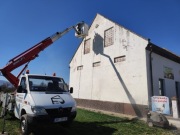 Wynajem podnośnika koszowego 21 M l Wycinka drzew 