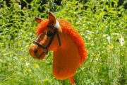 Rudy Hobby Horse z ogłowiem / Ginger Stick Horse with Bridle & Reins