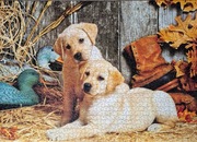 Puzzle Clementoni 1500 Hunting Dogs