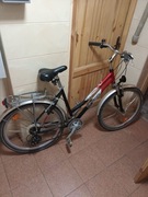 Spadam rower miejski 