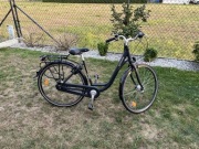 rower bTwin ELOPS 920