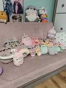 Pusheen maskotki sztuka