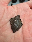 Kosmiczny prezent! Meteoryt żelazny Gebel Kamil - 16,0 g - Egipt!