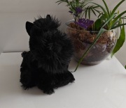 Aurora World Wuff and Friends Terier szkocki maskotka