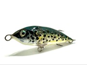 Wobler pstrąg kleń boleń MD_LURES_STUDIO