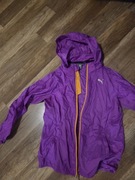 Kurtka wiatrówka" Puma "