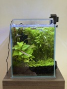 AQUAEL akwarium shrimp 30 (29X29X35)