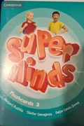 Super Minds 3 Flashcards