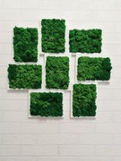 obraz/mech chrobotek/loftowa dekoracja/prezent