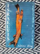 Israelvis album Albino Blue - kaseta magnetofonowa