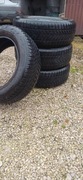 Opony zimowe Dębica 205/60 R16 96H 