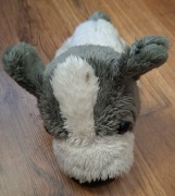 Maskotka, piesek, pluszak