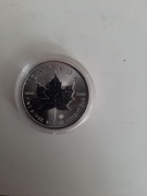 KANADYJSKI LISĆ KLONOWY SREBRO 31,1 GR. 2019 ROK