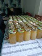 Miód Rzepakowy Duży Słoik 