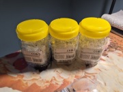 Złączka komputerowa RJ45 Męskie 100 szt. PUD.