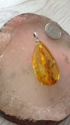 Wisiorek z bursztynem baltyckim amber 