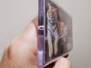 Magnes na lodówkę POLSKA Poznań ZOO tygrys