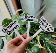 Tabliczki Znaczniki Do Roślin 