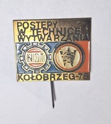 PRZYPINKA  ODZNAKA NOT KOŁOBRZEG 1978