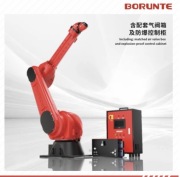 Borunte Mega masa wlasna 385 kg 