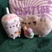 Pusheen zestaw pusheen z lodami i bubble tea sok