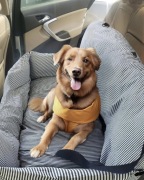 Johnear Oxford legowisko fotelik dla psa