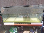 AKWARIUM duże 240 litrów.