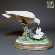 Gołębica karmi pisklęta biskwit Díaz Pardo O Castro Hiszpania lata 60te  