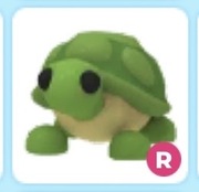 R Turtle (adopt me Roblox)