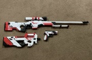 Counter Strike Asiimov Cosplay P25