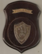 Ryngraf z IV zmiany EŚ z misji w Aganistanie.