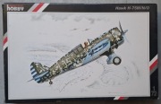 Curtiss Hawk H-75 Special Hobby