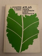 C Atlas chorób i szkodników roślin warzywnych. A. Studzińśki, Sosna