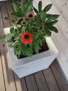 Donice ogrodowe - tarasowe