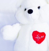 Miś maskotka biały pluszowy z sercem z imieniem Regina Georgina Gina artyst