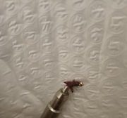 Muchy wędkarskie 