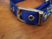 Szelki obroża dla małego pieska 