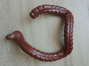 Jelito grube kostek szkielet ciało człowieka National Geographic