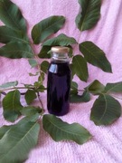 zielony orzech włoski bez cukru na żołądek według Barbara Kazana 100ml 