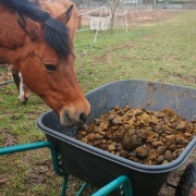 Obornik koński bez słomy 80l