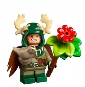 LEGO Dungeons & Dragons Halfling Druid
