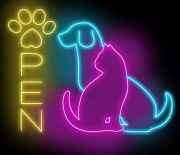 NEON SZYLD DO SALONU SPA HOTELU SKLEPU ZOOLOGICZNEGO FRYZJER DLA PSÓW 